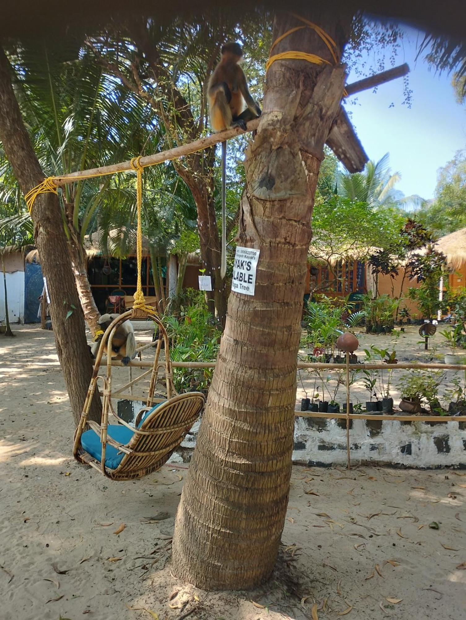 Yoga Culture Palolem Hotel ภายนอก รูปภาพ