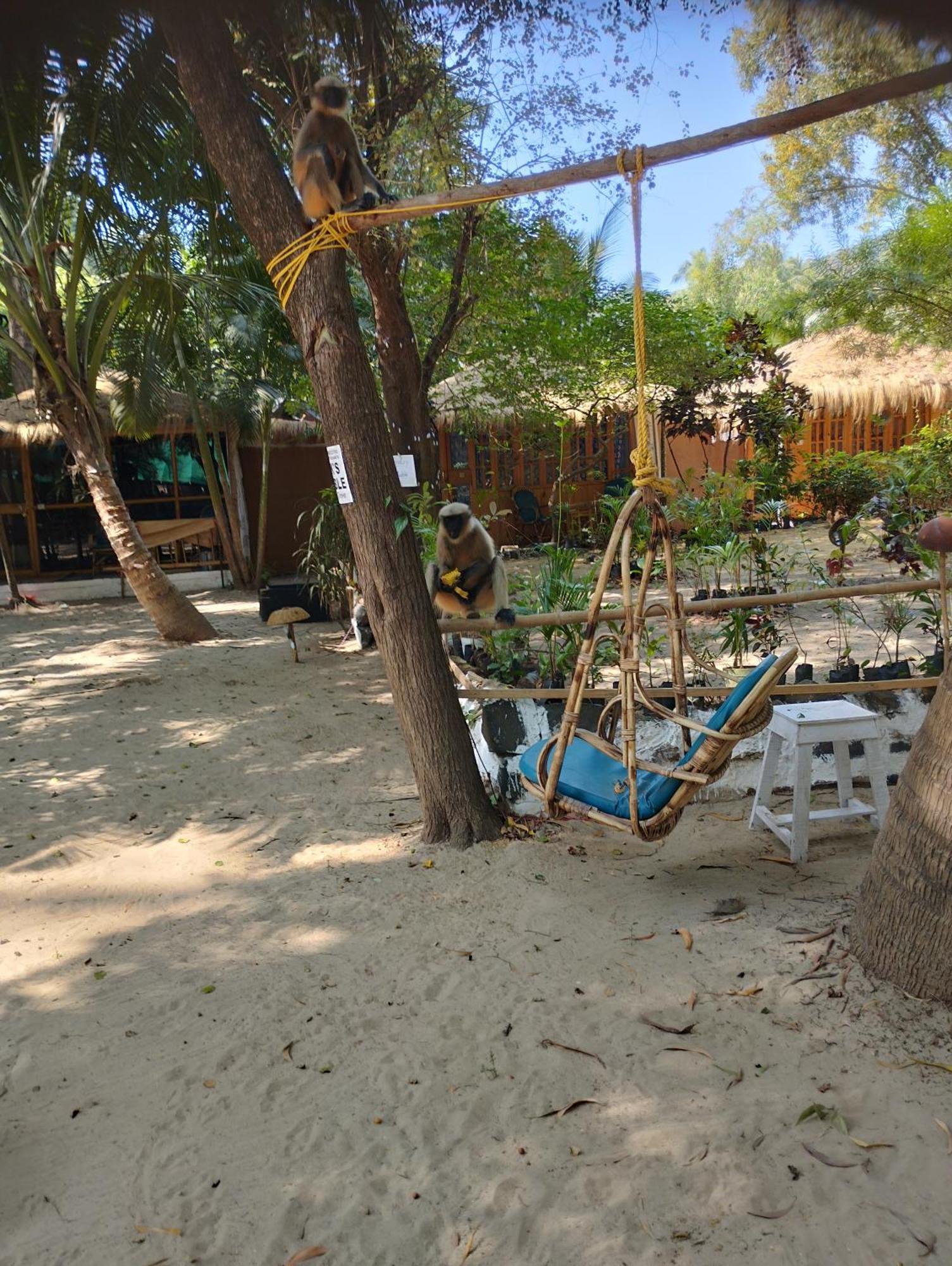 Yoga Culture Palolem Hotel ภายนอก รูปภาพ