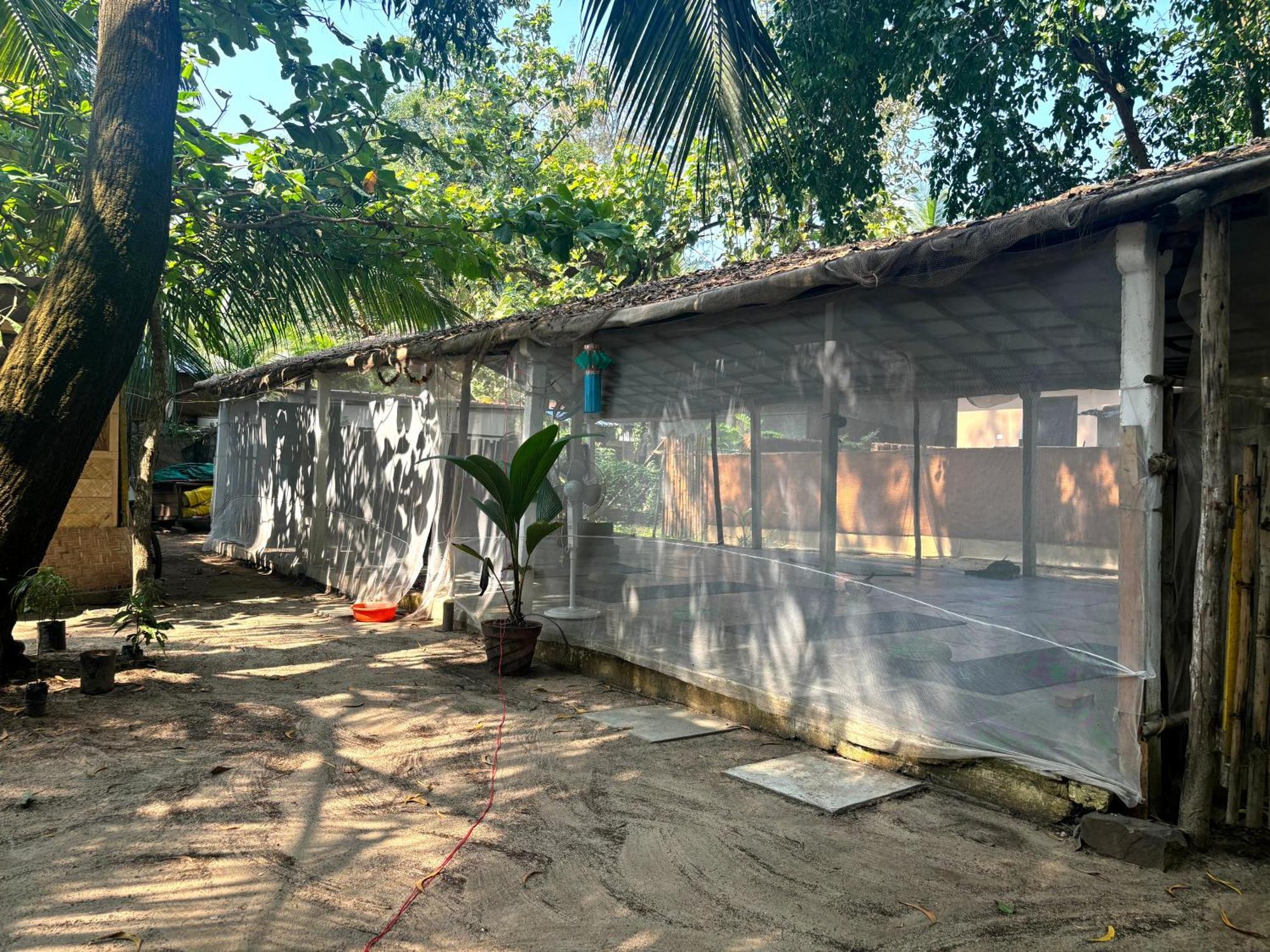 Yoga Culture Palolem Hotel ภายนอก รูปภาพ